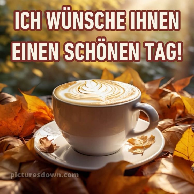 Ich wünsche ihnen einen schönen tag bild Blätter kostenlos