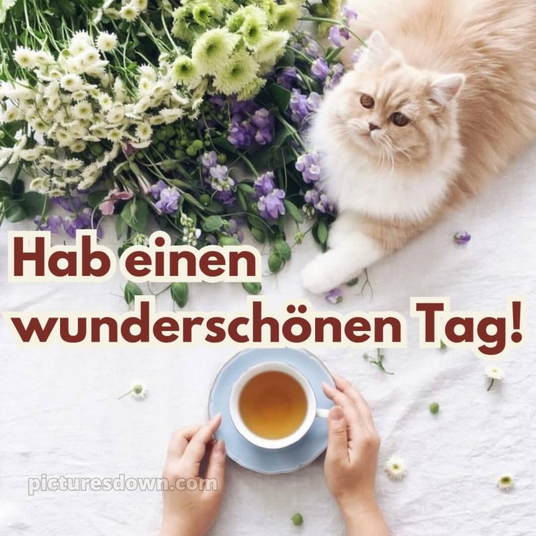 Ich wünsche ihnen einen schönen tag bild Tee kostenlos
