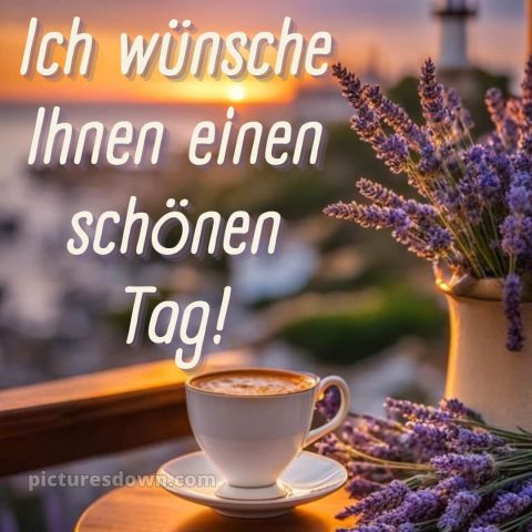 Ich wünsche ihnen einen schönen tag bild Lavendel kostenlos