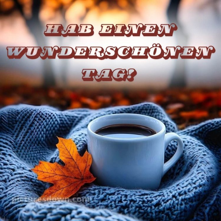 Ich wünsche ihnen einen schönen tag bild Jumper kostenlos