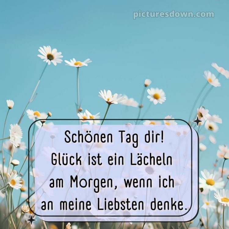 Ich wünsche ihnen einen schönen tag bild Gänseblümchen kostenlos