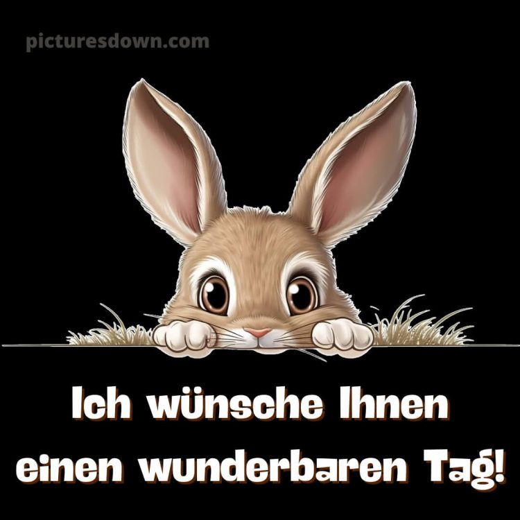 Ich wünsche ihnen einen schönen tag alternative bild Hase kostenlos