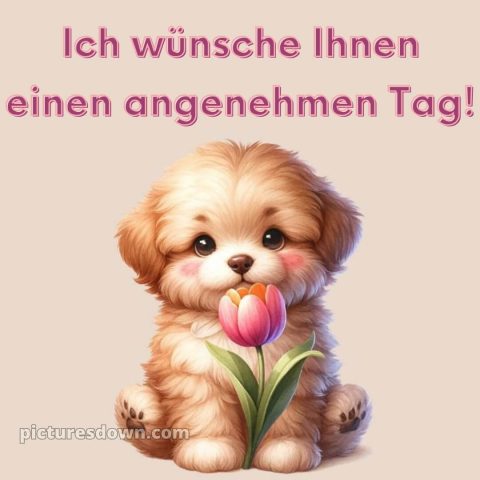 Ich wünsche ihnen einen schönen tag alternative bild Welpe kostenlos