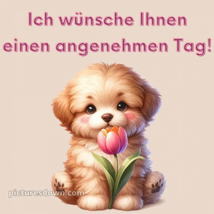 Ich wünsche ihnen einen schönen tag alternative bild Welpe kostenlos