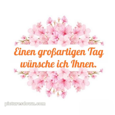 Ich wünsche ihnen einen schönen tag alternative bild Blüte kostenlos