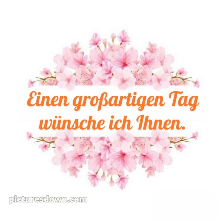 Ich wünsche ihnen einen schönen tag alternative bild Blüte kostenlos
