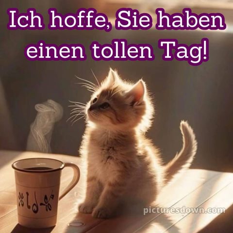 Ich wünsche ihnen einen schönen tag alternative bild Kätzchen kostenlos