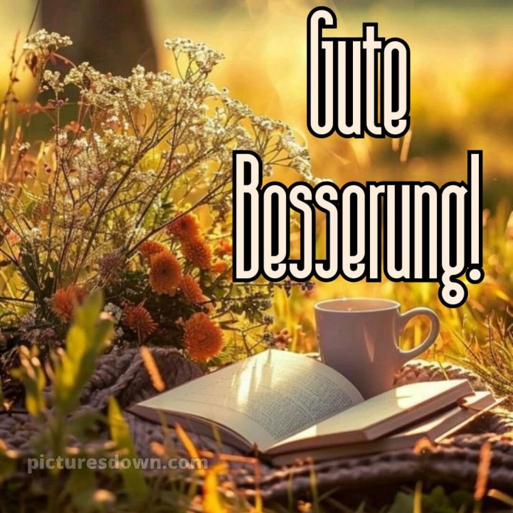 Ich wünsche ihnen gute besserung bild Buch kostenlos