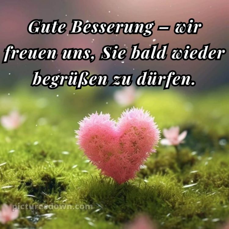 Ich wünsche ihnen gute besserung bild Herz kostenlos