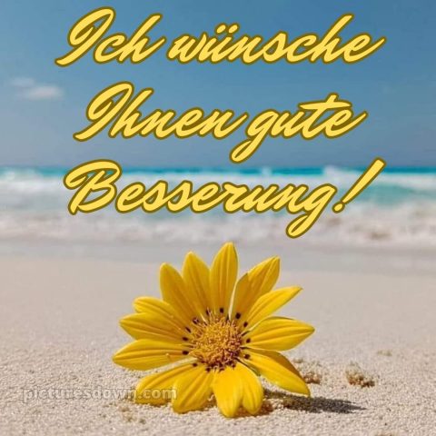Ich wünsche ihnen gute besserung bild Meer kostenlos