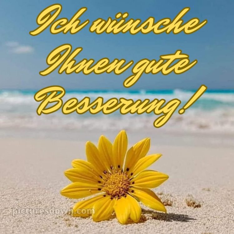 Ich wünsche ihnen gute besserung bild Meer kostenlos