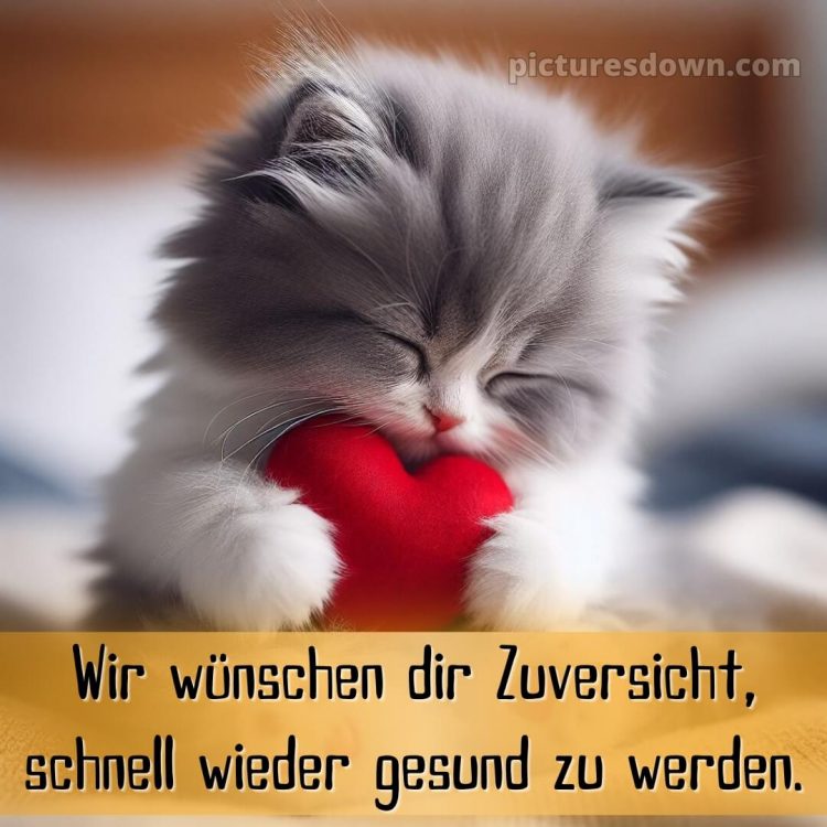 Ich wünsche ihnen gute besserung bild Kätzchen kostenlos