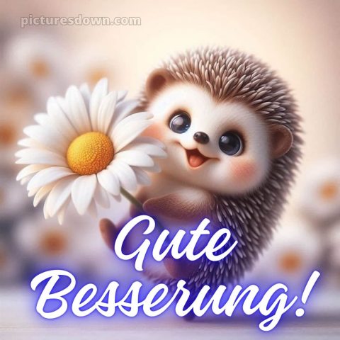 Ich wünsche ihnen gute besserung bild Igel kostenlos