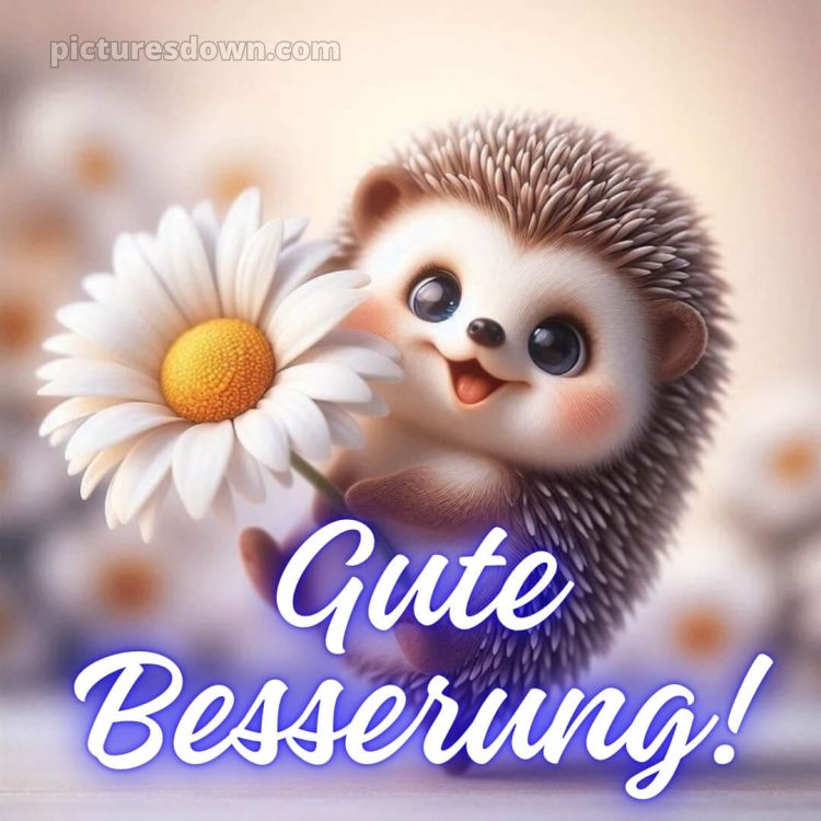 Ich wünsche ihnen gute besserung bild Igel kostenlos