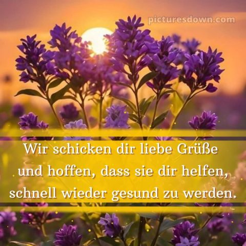 Ich wünsche ihnen gute besserung bild Sonne kostenlos