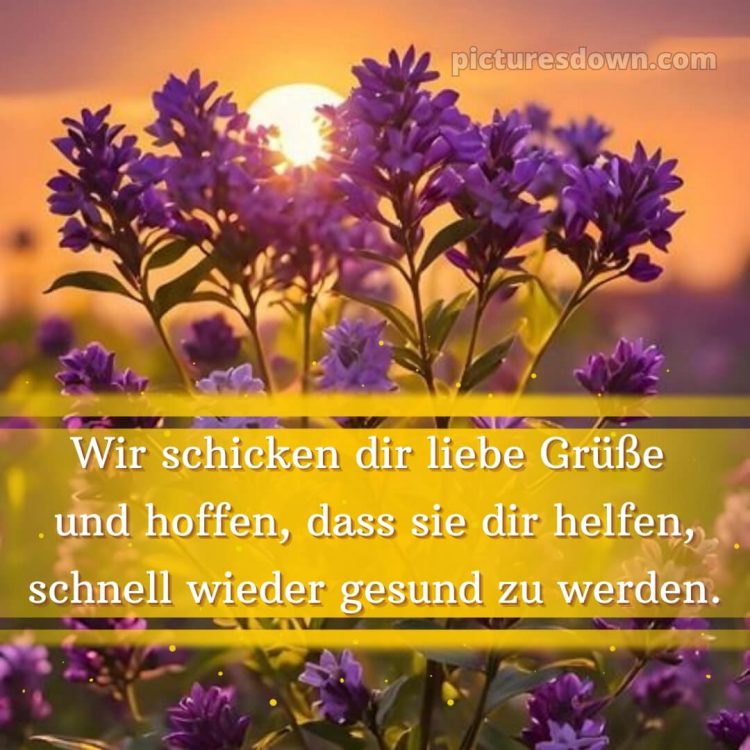 Ich wünsche ihnen gute besserung bild Sonne kostenlos