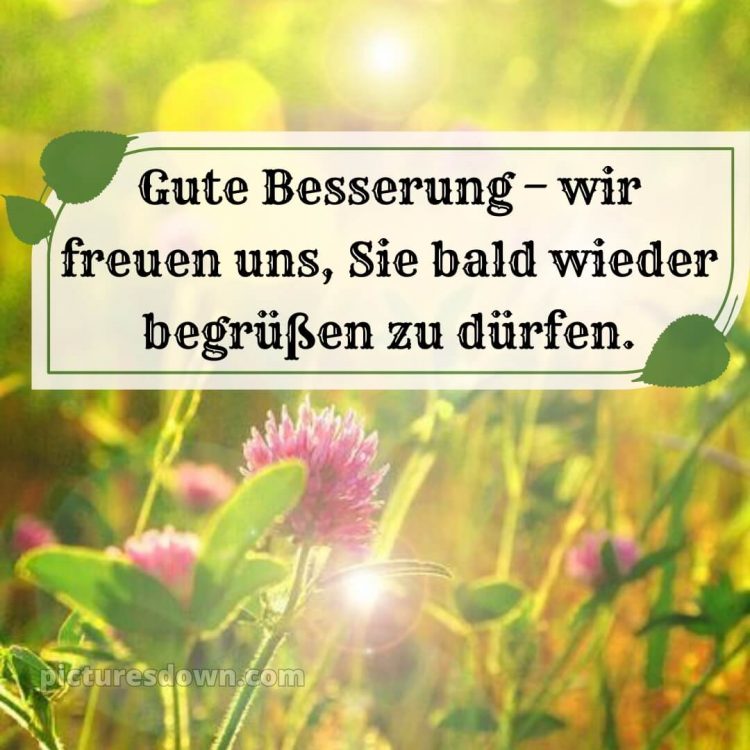 Ich wünsche ihnen gute besserung und schnelle genesung bild Gras kostenlos