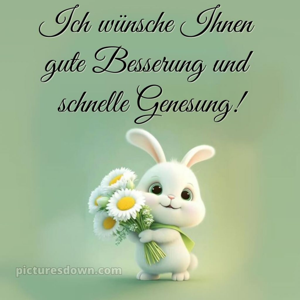 Ich W Nsche Ihnen Gute Besserung Und Schnelle Genesung Hase Picturesdown Com