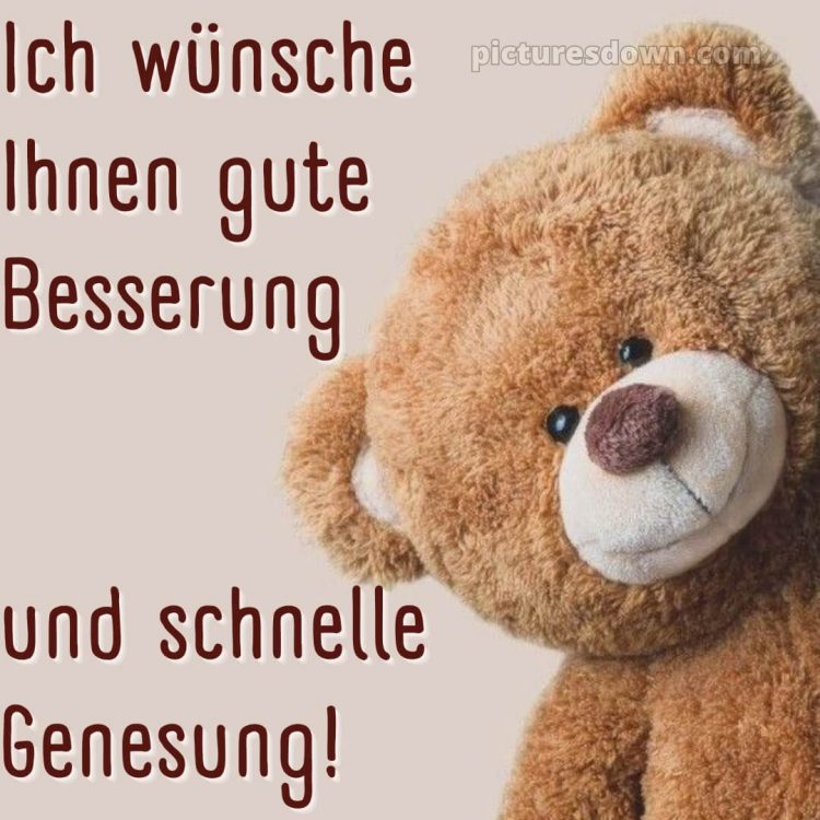 Ich wünsche ihnen gute besserung und schnelle genesung bild Bär kostenlos