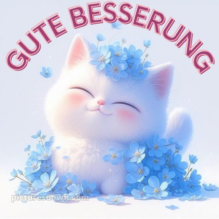 Ich wünsche ihnen gute besserung und schnelle genesung bild Kätzchen kostenlos