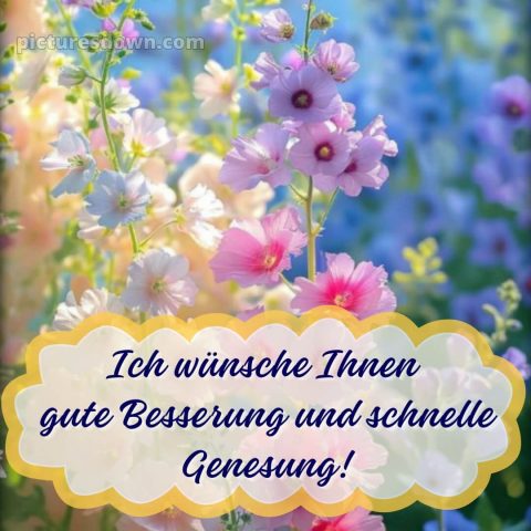Ich wünsche ihnen gute besserung und schnelle genesung bild Blumen kostenlos