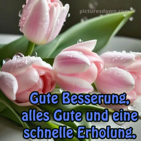 Ich wünsche ihnen gute besserung und schnelle genesung bild Tulpen kostenlos