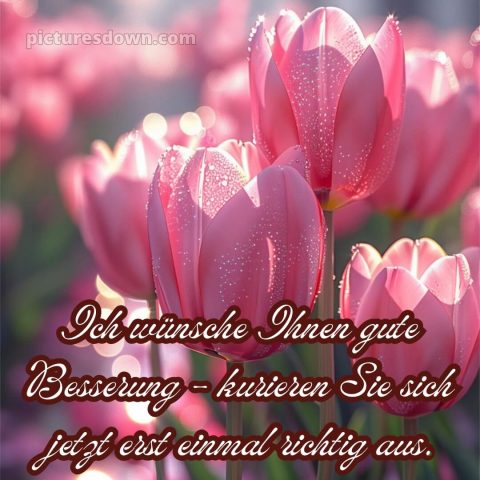 Ich wünsche ihnen gute besserung und schnelle genesung bild rosa Tulpen kostenlos