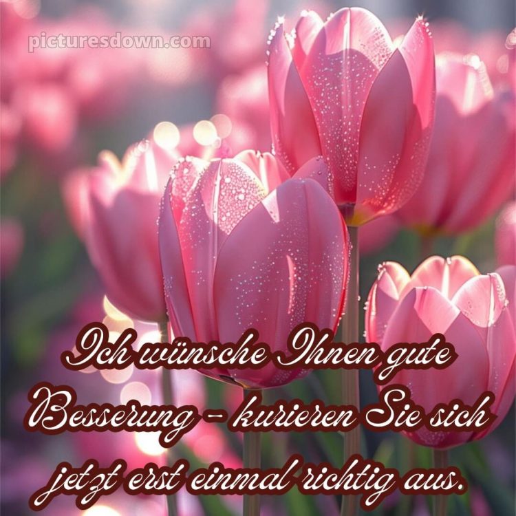 Ich wünsche ihnen gute besserung und schnelle genesung bild rosa Tulpen kostenlos