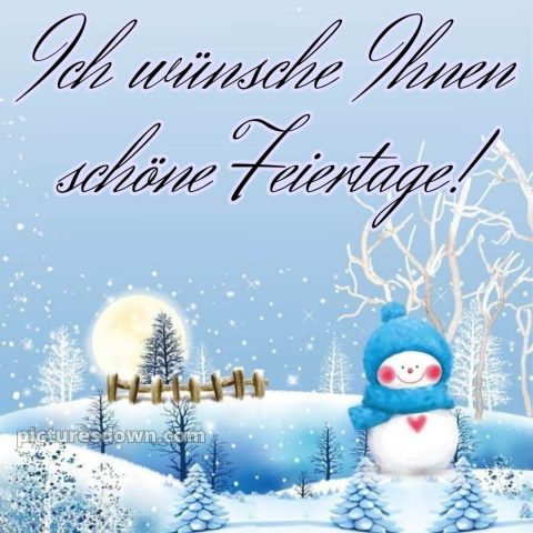 Ich wünsche ihnen schöne feiertage bild Schneemann kostenlos