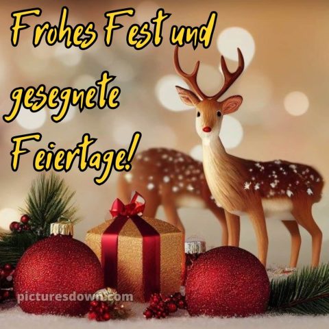 Ich wünsche ihnen schöne feiertage bild Rentier kostenlos
