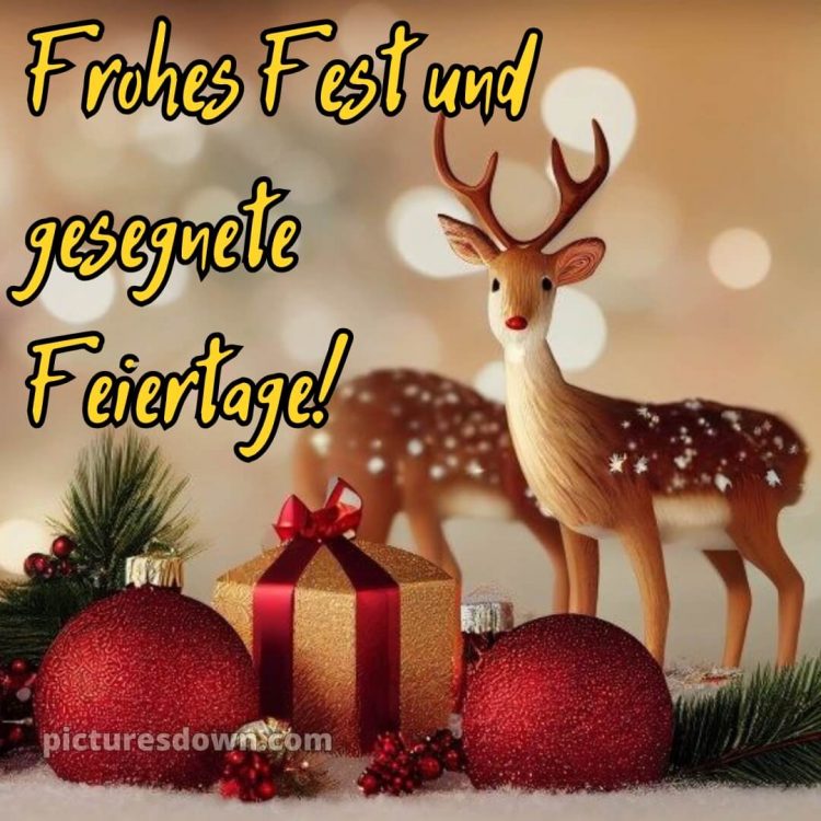 Ich wünsche ihnen schöne feiertage bild Rentier kostenlos