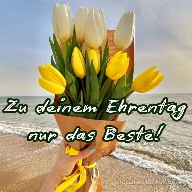 Whatsapp blumenstrauß geburtstag bild Meer kostenlos