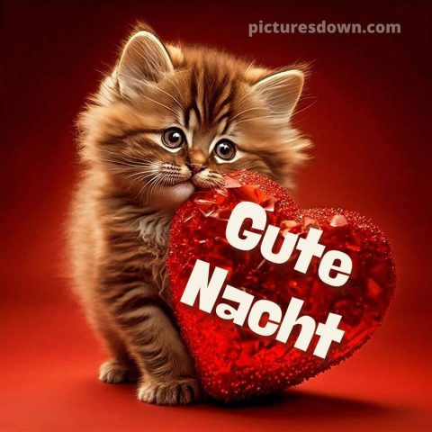 Gute nacht bilder für whatsapp bild Herz kostenlos