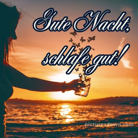 Gute nacht bilder für whatsapp bild Glas kostenlos