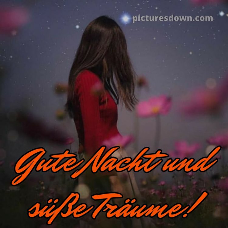 Gute nacht bilder für whatsapp bild Wildblumen kostenlos