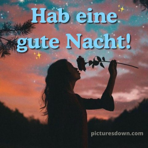 Gute nacht bilder für whatsapp bild Rose kostenlos