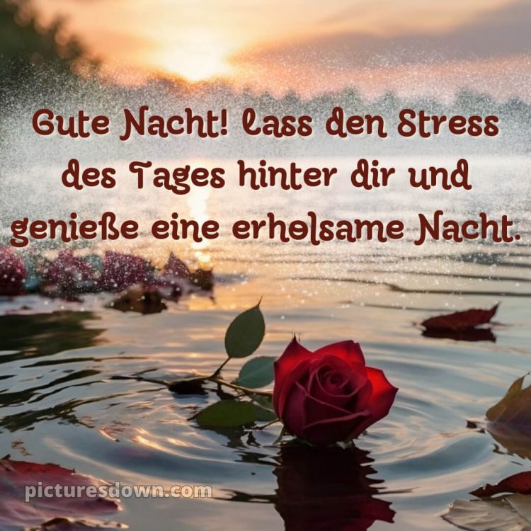 Gute nacht bilder für whatsapp kostenlos bild Wasser kostenlos