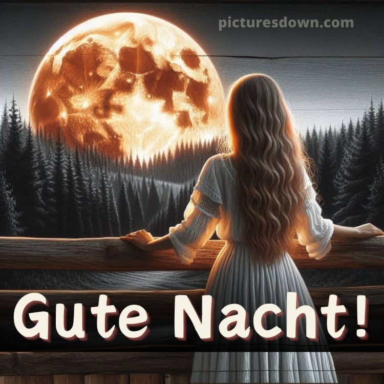 Gute nacht bilder für whatsapp kostenlos bild Wald kostenlos