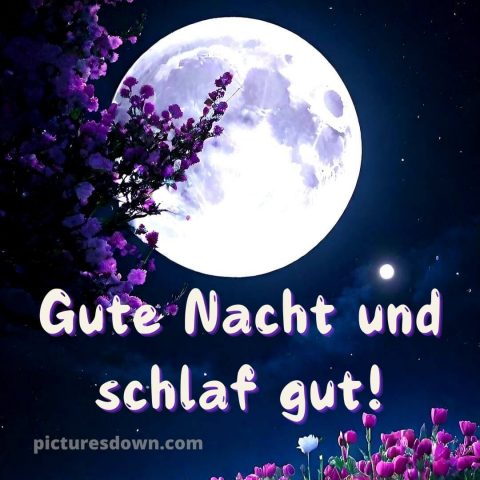 Gute nacht bilder für whatsapp kostenlos bild Mond am Himmel kostenlos