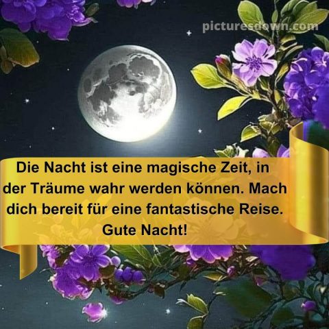 Gute nacht bilder für whatsapp kostenlos bild Blumen kostenlos
