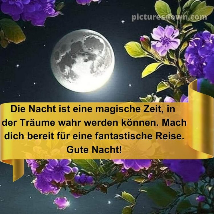 Gute nacht bilder für whatsapp kostenlos bild Blumen kostenlos