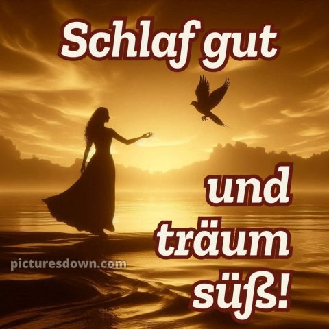 Gute nacht bilder kostenlos whatsapp bild Vogel kostenlos