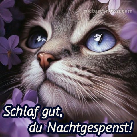 Gute nacht bilder kostenlos whatsapp lustig neu bild Nase kostenlos