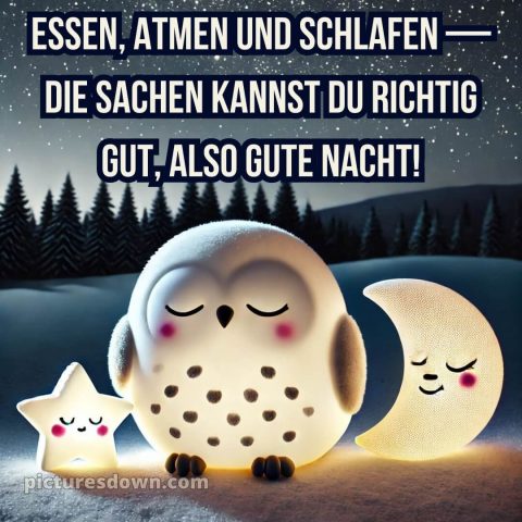 Gute nacht bilder kostenlos whatsapp lustig neu bild Schnee und Eule kostenlos
