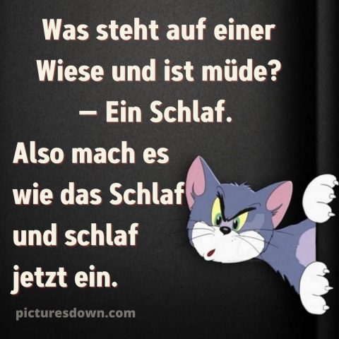 Gute nacht bilder kostenlos whatsapp lustig neu bild Tom kostenlos