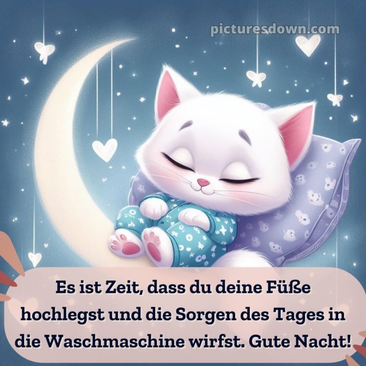 Gute nacht bilder kostenlos whatsapp lustig neu bild Kissen kostenlos