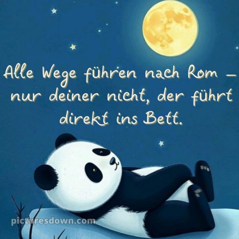 Gute nacht bilder kostenlos whatsapp lustig neu bild Panda kostenlos