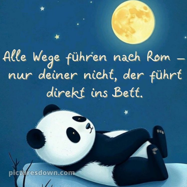 Gute nacht bilder kostenlos whatsapp lustig neu bild Panda kostenlos