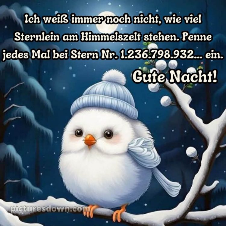 Gute nacht bilder kostenlos whatsapp lustig neu bild Vogel kostenlos