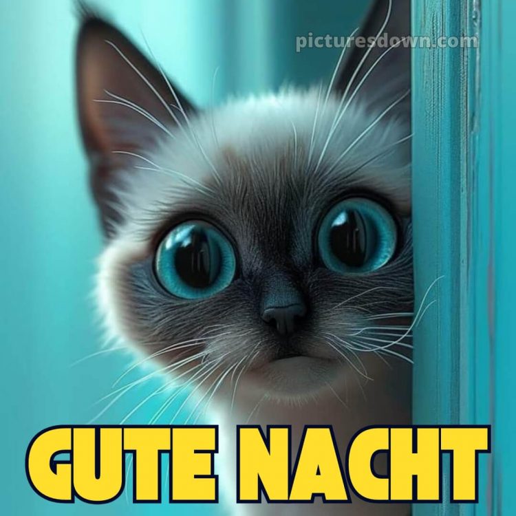 Gute nacht bilder kostenlos whatsapp lustig neu bild Augen kostenlos
